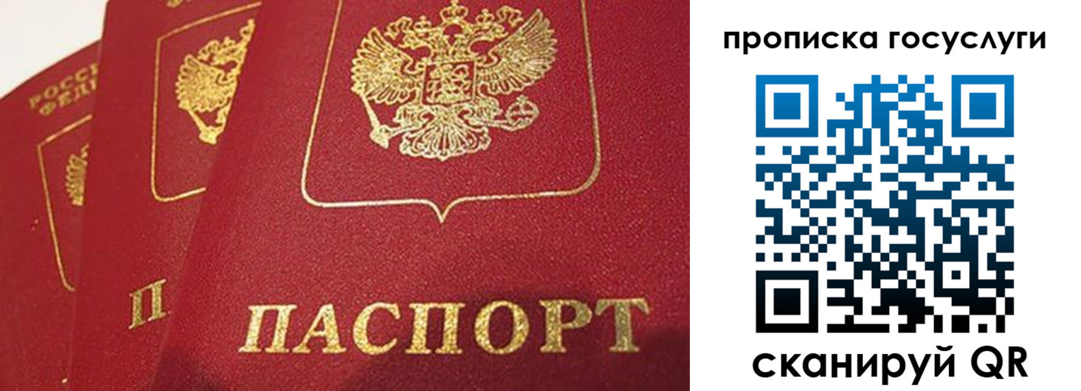 пропишу в квартире в Кировской области